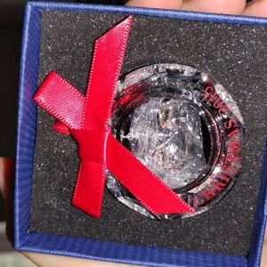 Babys first Christmas ornament (2015)